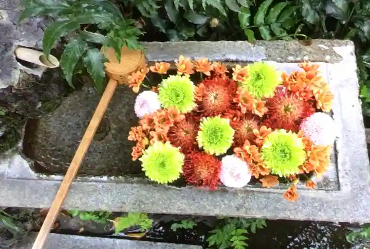 本郷氷川神社(東京都)