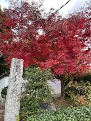 正伝護国禅寺(正伝寺･正傳寺)(京都府)