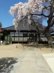 安達太良山 遍明院 相応寺 (福島県)