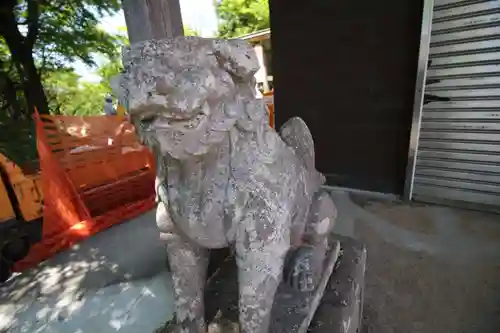 大山阿夫利神社本社の狛犬