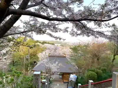 長谷寺のその他建物