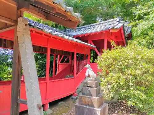 稲荷社（井堀）の本殿・本堂