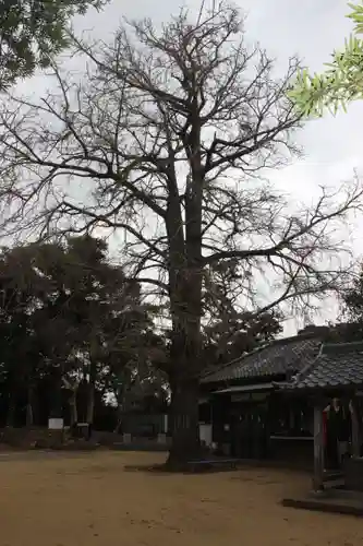 海上八幡宮(千葉県)