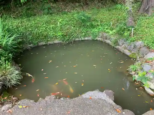 三島神社の庭園