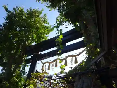 菊名神社の鳥居