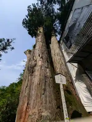 榛名神社(群馬県)