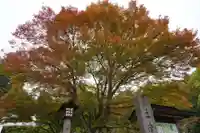 土津神社|こどもと出世の神さまの自然