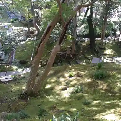長壽寺（長寿寺）(神奈川県)