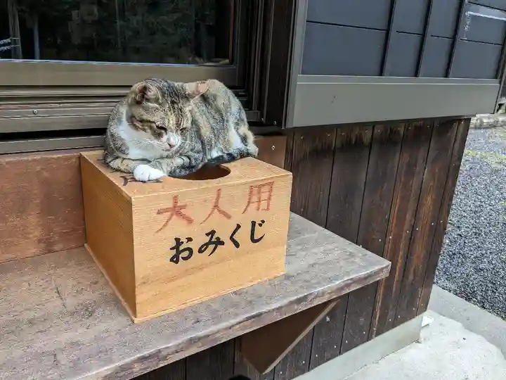 八幡社(柏井町)の動物