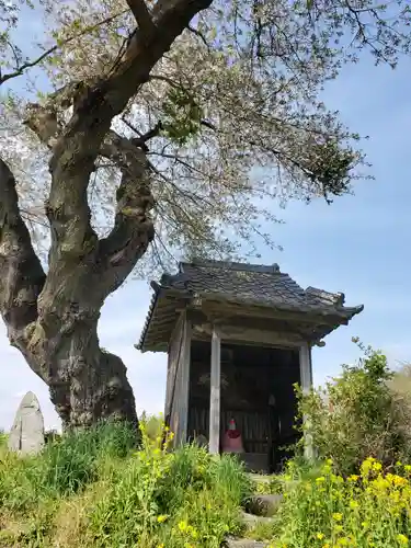 小沢の桜祠(福島県)