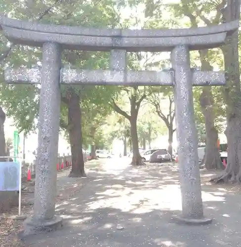 平塚神社の鳥居