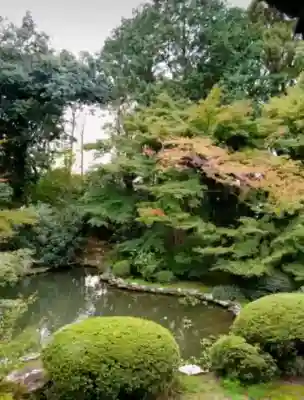 隨心院（随心院）(京都府)