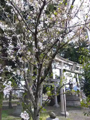 白山神社(福井県)