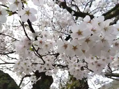 妙経寺(福井県)