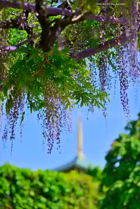 三学院(埼玉県)