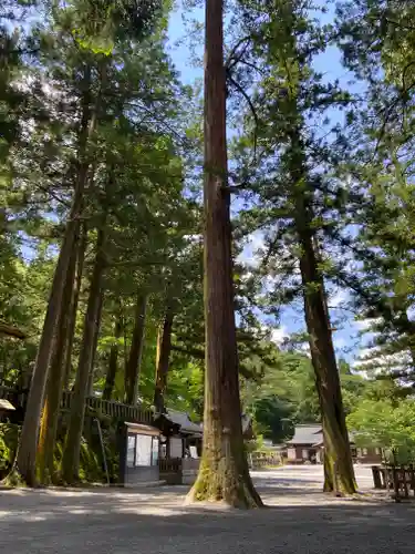 諏訪大社(長野県)