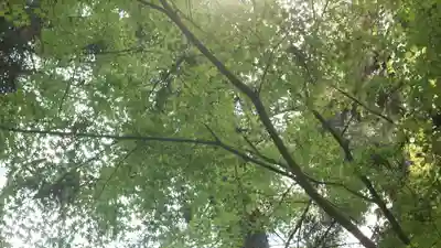 岡寺(龍蓋寺)(奈良県)