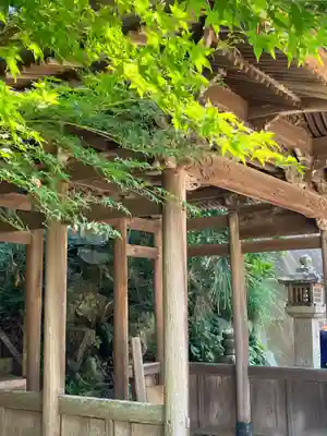 泉蔵院の末社・摂社