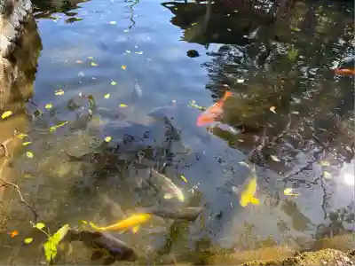 人丸神社(小中町)(栃木県)