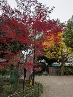 乃木神社(東京都)