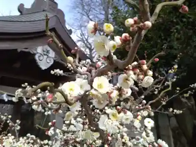 岩津天満宮(愛知県)