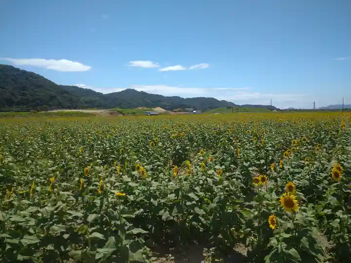 道通神社の周辺