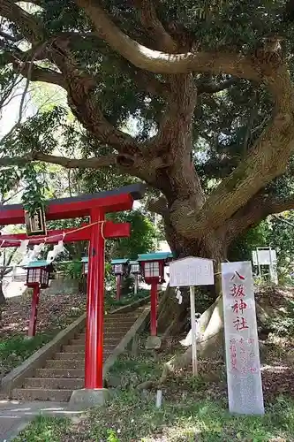 八坂神社の鳥居