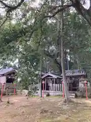 日吉神社(兵庫県)