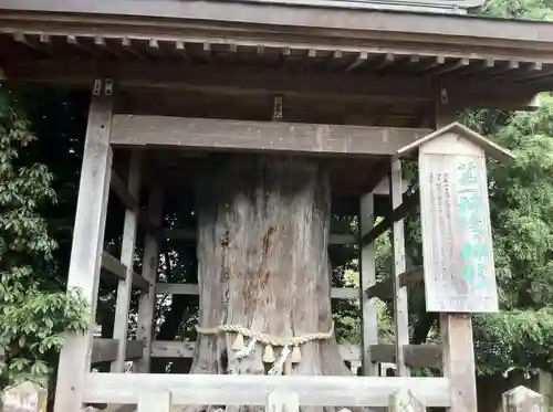阿蘇神社のその他建物