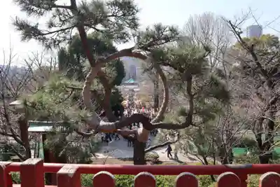 清水観音堂(東京都)