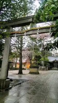 石神井氷川神社の鳥居