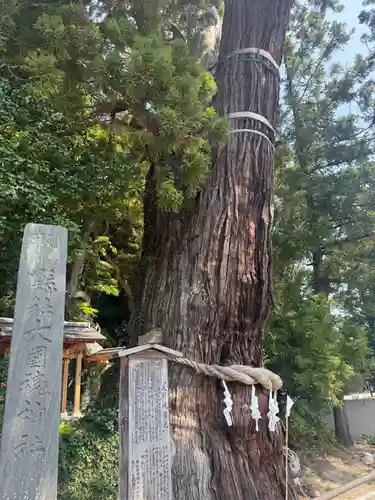大國魂神社(福島県)