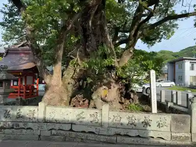 八代神社の{uncategorized: "未分類", other: "その他", undefined: "問題あり", building: "その他建物", grave: "お墓", sacred_gate: "鳥居", guardian: "狛犬", statue: "像", buddha: "仏像", history: "歴史", nature: "自然", garden: "庭園", animal: "動物", pagoda: "塔", temizu: "手水舎", mountain_gate: "山門・神門", sanctuary: "本殿・本堂", subordinate: "末社・摂社", art: "芸術", scenery: "景色", jizo: "地蔵", ema: "絵馬", goshuin: "御朱印", omikuji: "おみくじ", items: "授与品その他", amulet: "お守り", goshuincho: "御朱印帳", eats: "食事", festival: "お祭り", votive_dance: "神楽", shichigosan: "七五三参", wedding: "結婚式", experience: "体験その他", initially: "初詣", around: "周辺", anti_infection: "感染症対策"}