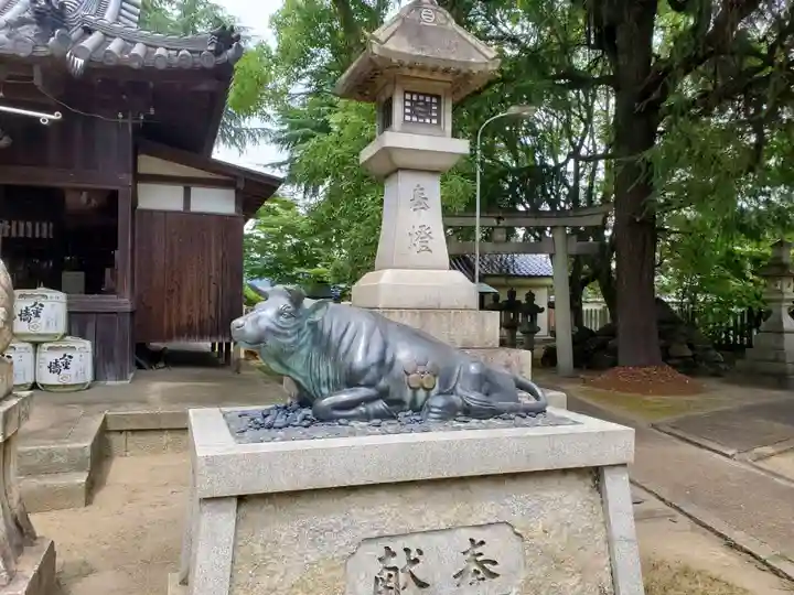 九所御霊天神社の狛犬