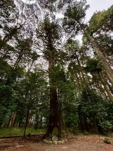 瀧樹神社(滋賀県)