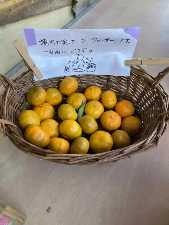 光照寺(神奈川県)