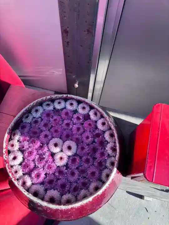 三島神社の{uncategorized: "未分類", other: "その他", undefined: "問題あり", building: "その他建物", grave: "お墓", sacred_gate: "鳥居", guardian: "狛犬", statue: "像", buddha: "仏像", history: "歴史", nature: "自然", garden: "庭園", animal: "動物", pagoda: "塔", temizu: "手水舎", mountain_gate: "山門・神門", sanctuary: "本殿・本堂", subordinate: "末社・摂社", art: "芸術", scenery: "景色", jizo: "地蔵", ema: "絵馬", goshuin: "御朱印", omikuji: "おみくじ", items: "授与品その他", amulet: "お守り", goshuincho: "御朱印帳", eats: "食事", festival: "お祭り", votive_dance: "神楽", shichigosan: "七五三参", wedding: "結婚式", experience: "体験その他", initially: "初詣", around: "周辺", anti_infection: "感染症対策"}