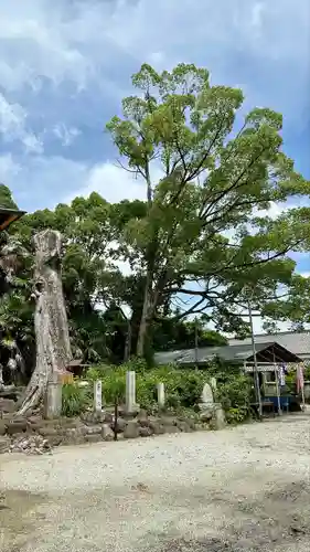 吉祥草寺(奈良県)