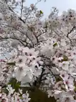 了仙寺(静岡県)