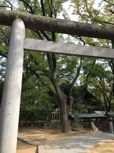 意富比神社の鳥居