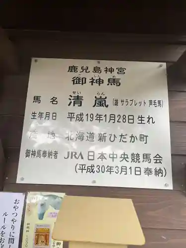 鹿児島神宮(鹿児島県)