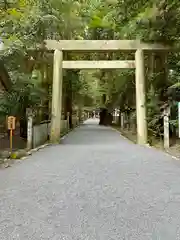 椿大神社の鳥居