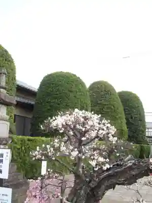 真光寺(千葉県)