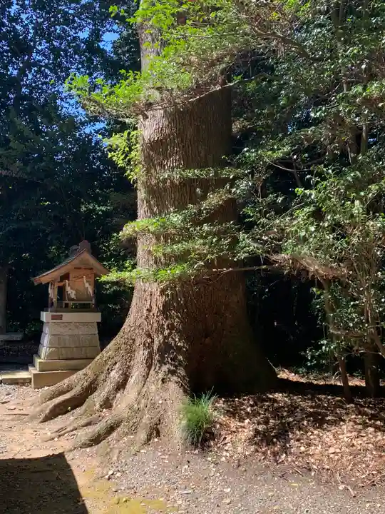 大國玉神社(茨城県)