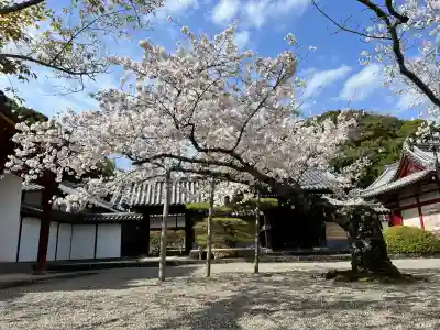 御池坊（粉河寺本坊）(和歌山県)