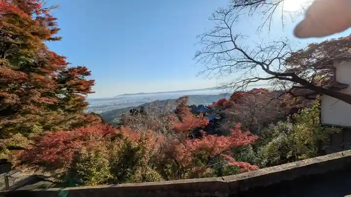 善峯寺(京都府)