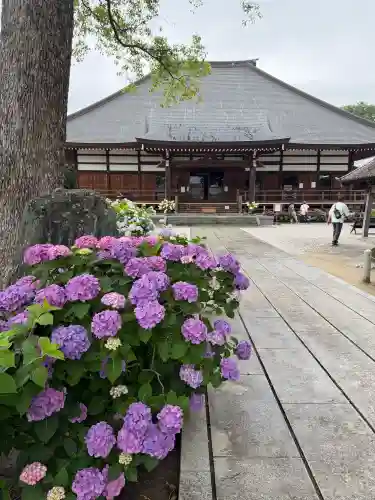 能護寺(埼玉県)