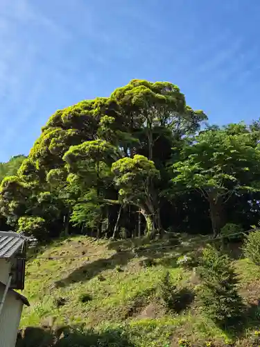 温泉神社〜いわき湯本温泉〜(福島県)