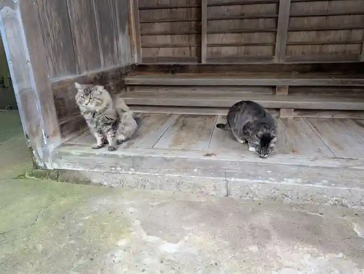 唐澤山神社(栃木県)