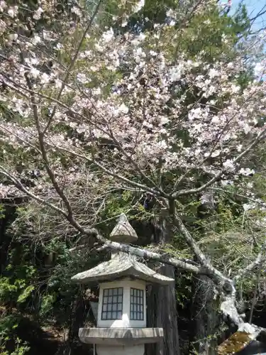 鹿島大神宮の自然
